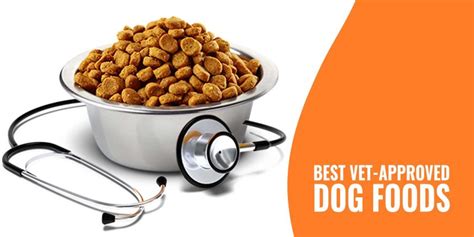 10 Best Vet-Approved Dog Foods – Ingredients, Price & Benefits