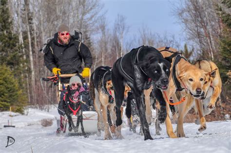 Dog Sled Rides and Tours | Endurance Kennels LLC