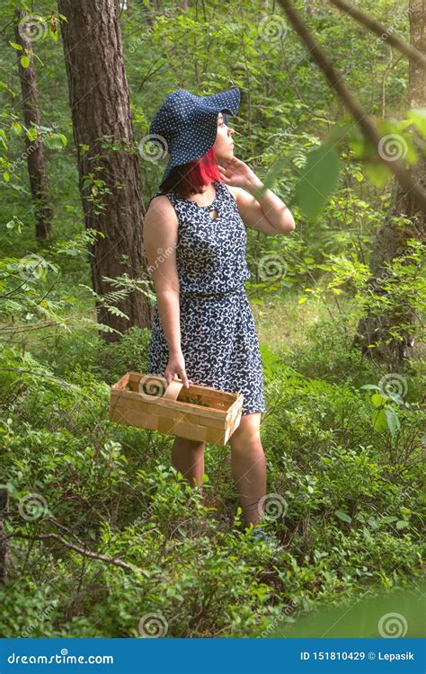 Forest Berry Blueberries,collecting Gifts of the Forest Stock Image - Image of blueberries ...