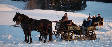 Horse Drawn Sleigh Ride in Styria | Panorama Tours