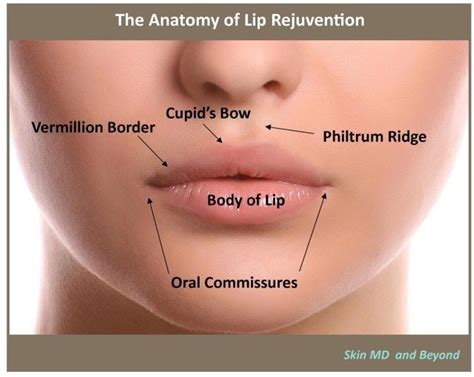 Mouth Rejuvenation Plano, TX | Lip Rejuvenation Frisco, TX | Juvederm lips, Lip fillers, Lip surgery