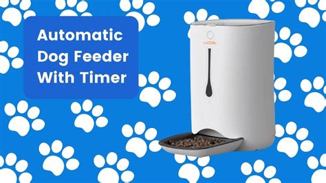 Automatic Dog Feeder with Timer-Feed Your Pet when You Away at Home