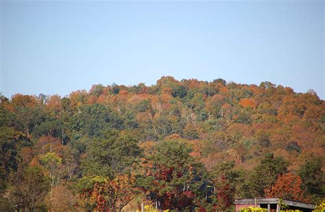 Hudson Highlands State Park Fall Foliage in New York State 2025 - Rove.me