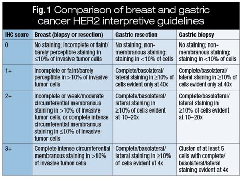 Second act for HER2, in gastric cancers – CAP TODAY