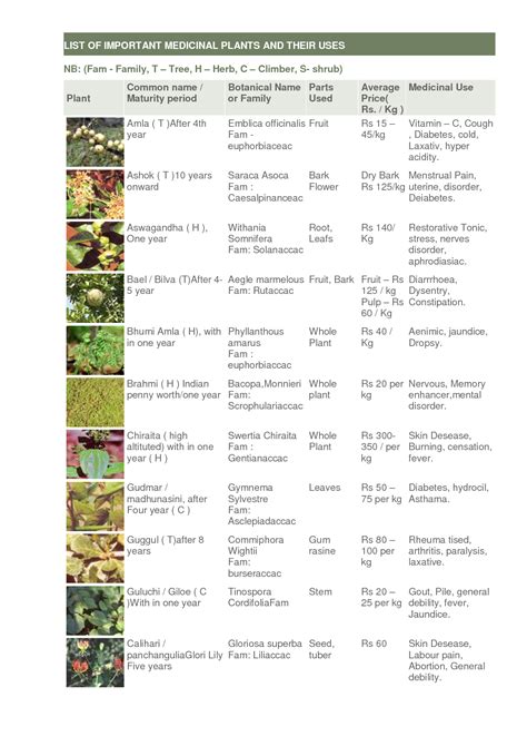 Pinterest | Medicinal plants, Medicinal herbs, Herbal plants