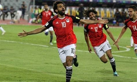 Egypt Football Association: Players, Staff Members and Club Officials to Undergo PCR Tests ...