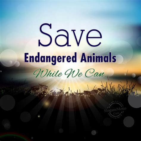 Save Endangered Animals While We Can. | SlogansMotto.com