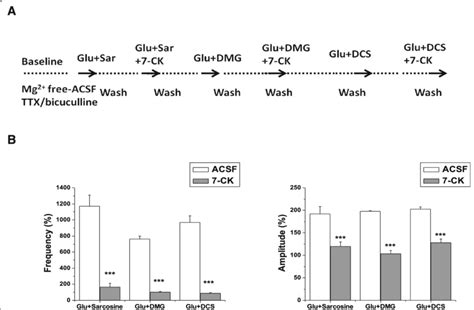 Effects of 7-CK on excitatory field potentials evoked by co-application... | Download Scientific ...