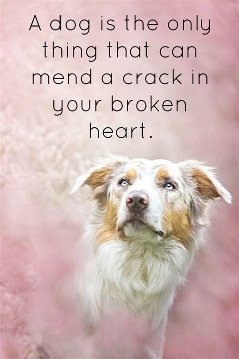 A dog is the only thing that can mend a crack in your broken heart ...