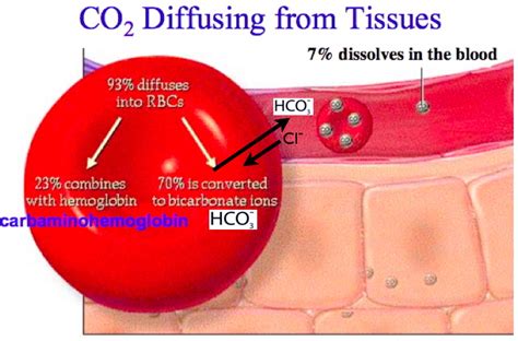 CO2 Transport