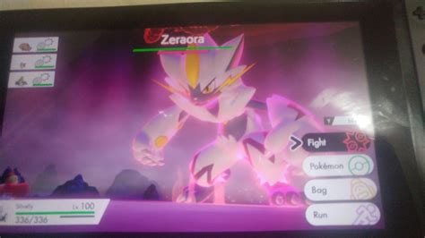 SHINY ZERAORA! : r/PokemonSwordAndShield