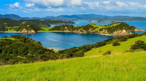 Activities, Guided Tours and Day Trips in Paihia - Civitatis.com