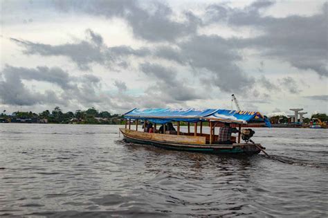 Tambopata Jungle Tours: Don't Miss My Ultimate Guide