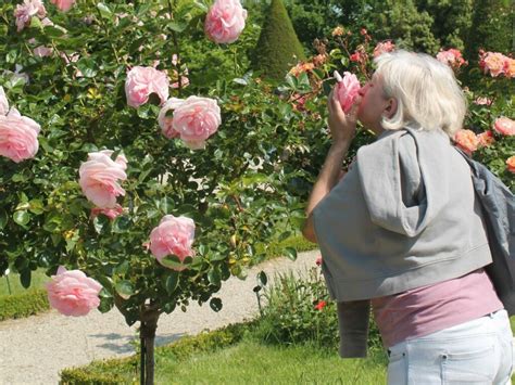 The 10 Best Secret Gardens in Paris - Frenchly