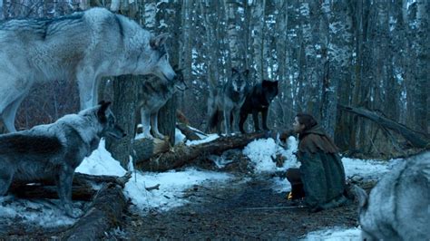 Nymeria Scene in Game of Thrones Reactions | POPSUGAR Entertainment