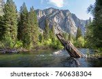 Roaring River Area in Kings Canyon National Park, California image - Free stock photo - Public ...