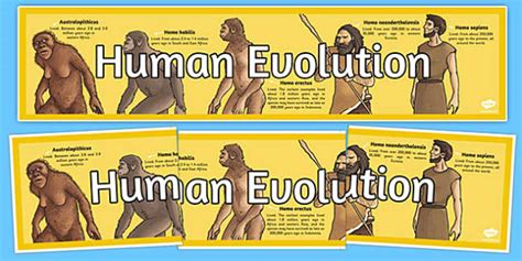 Human Evolution Timeline | Human History Timeline - Twinkl