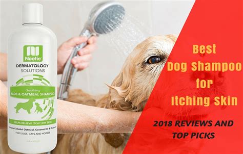 Top 10 Best Dog Shampoo for Itching Skin in 2018 Reviews