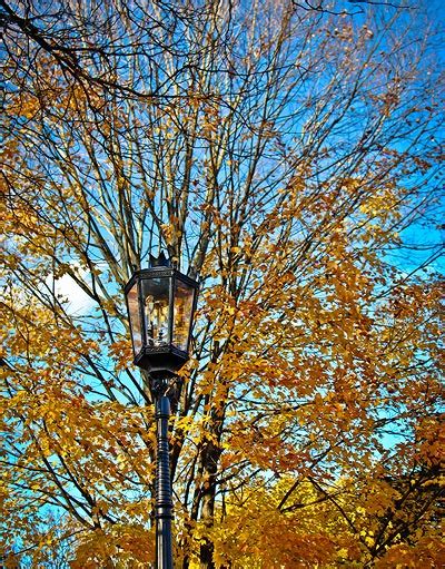 Fall Foliage Wellsboro PA - Penn Wells