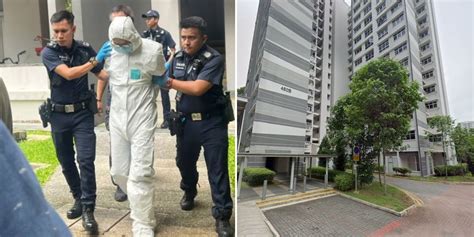 65-Year-Old Man Charged With Murder, Bukit Batok Neighbours Claim He ...