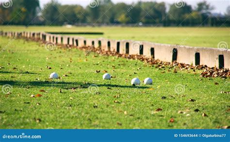 Horse Polo equipment stock photo. Image of forest, horse - 154693644