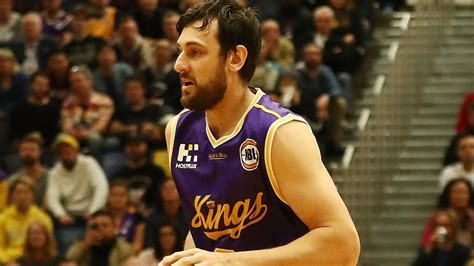 Channel Nine becomes official broadcast partner of NBL; Andrew Bogut ...