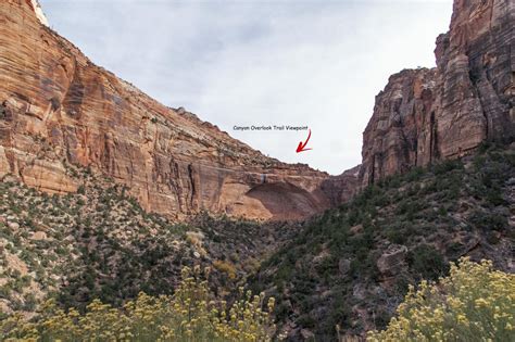 Canyon Overlook Trail, A Must Do Zion National Park Hike - Casual Trekkers