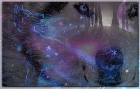 Beautiful Wallpaper Purple Galaxy Wolf images