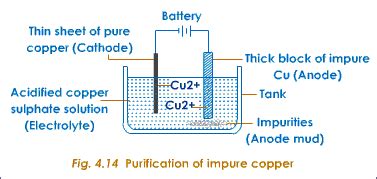 Draw a diagram for electrorefining or purification of copper.