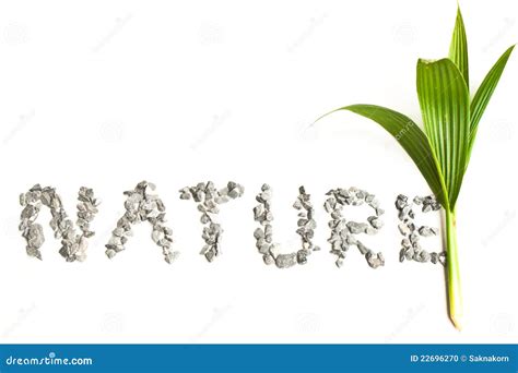 Nature Word Art From A Stone. Stock Photo - Image of ecology, post ...