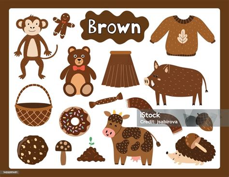 Set Of Brown Color Objects Primary Colors Flashcard With Brown Elements Stock Illustration ...