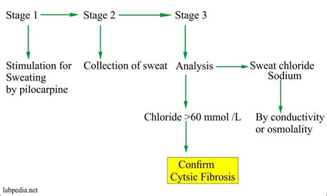 Sweat Electrolytes, Cystic Fibrosis and its Diagnosis - Labpedia.net