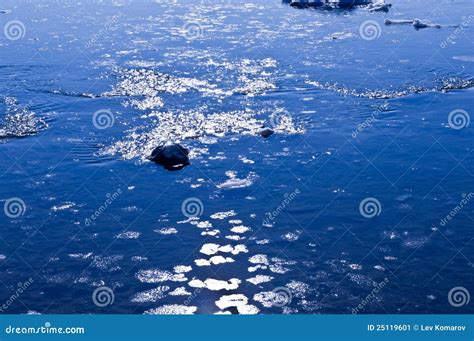 Coast of the Sea of Okhotsk Stock Image - Image of climate, ocean: 25119601