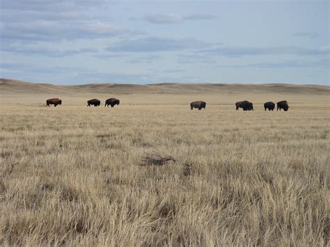 File:Saskatchewan - Grasslands National Park 02.JPG - Wikipedia