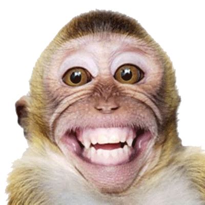 Hehehe Monkey Sticker - Hehehe Monkey Smiling - Discover & Share GIFs ...