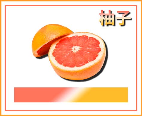 Food Fruit Myart Png Transparent Gradient Grapefruit - Orange Aesthetic Tumblr Png (500x417 ...