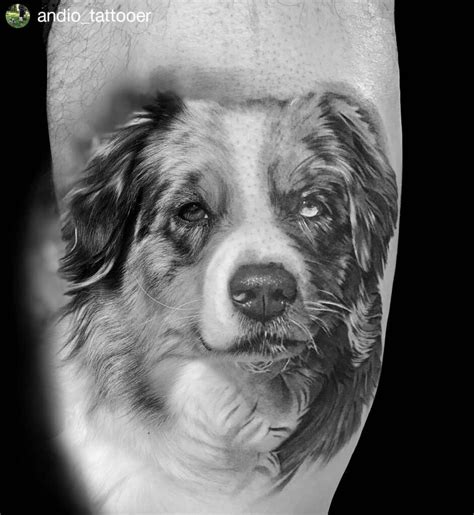 11+ Australian Shepherd Tattoo Ideas That Will Blow Your Mind!