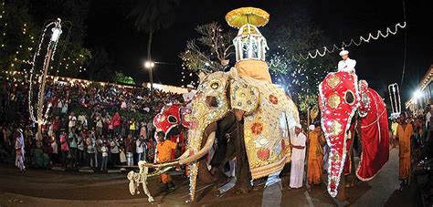 Esala Perahera Festival | Tourism Sri Lanka