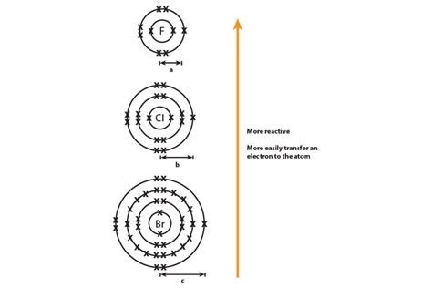 As you move down group 1 and 7 elements get more reactive