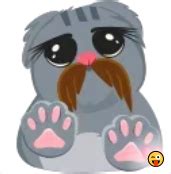 Набор стикеров Animated Cat для Telegram - stickerpacks