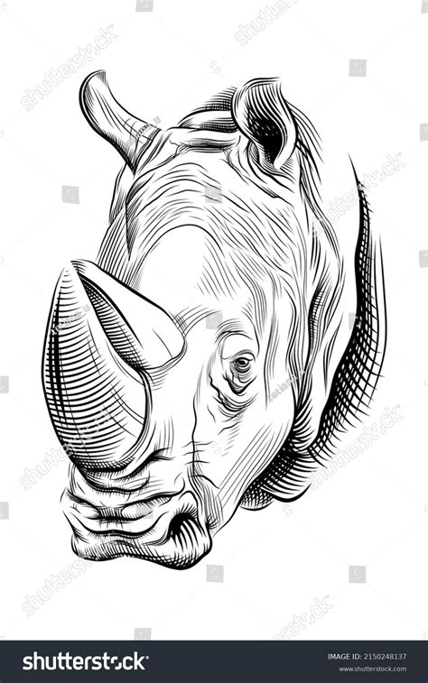 Rhinoceros Head Hand Drawn Sketch Rhino Stock Vector (Royalty Free ...