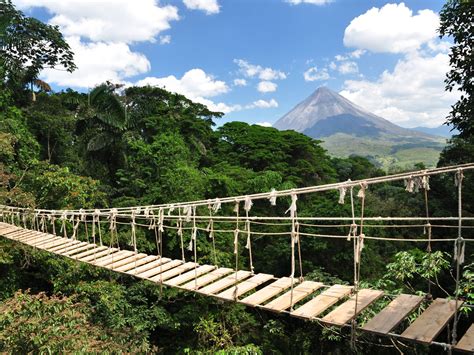 rope bridge - Google Search | Dream Home | Pinterest | Rope bridge