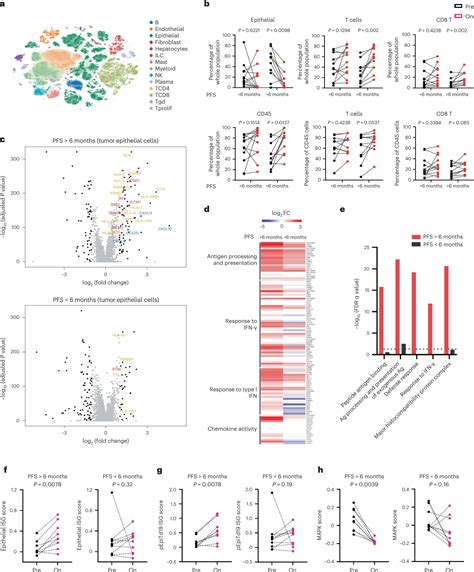 Immunotherapy combined with targeted therapy for colorectal cancer yields promising outcomes for ...