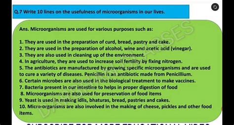 Useful Microorganisms