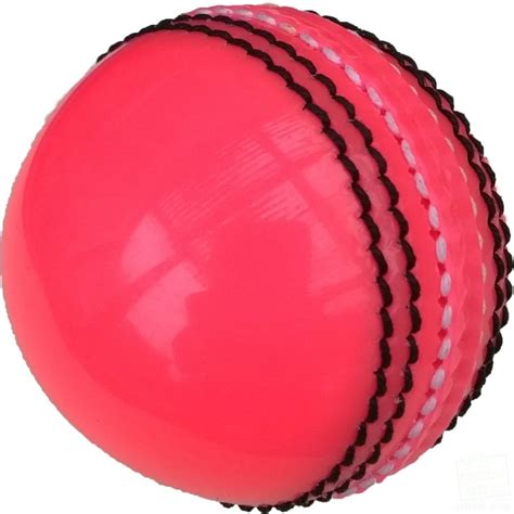 getpaddedup Pink Practice Coaching Cricket Ball