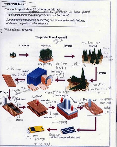 IELTS Task 1 (Process) : The production of a lead pencil