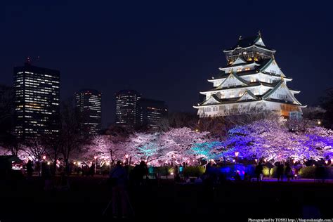 Osaka travel guide area by area: Osaka Castle Park - youinJapan.net