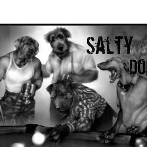 Salty Dog Concerts & Live Tour Dates: 2024-2025 Tickets | Bandsintown