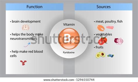 Vitamin B6 Vector Design Vitamin B6 Stock Vector (Royalty Free ...