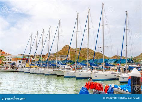 Cabo Adventures Sailboats Docked in Cabo San Lucas Editorial Photography - Image of coastal ...